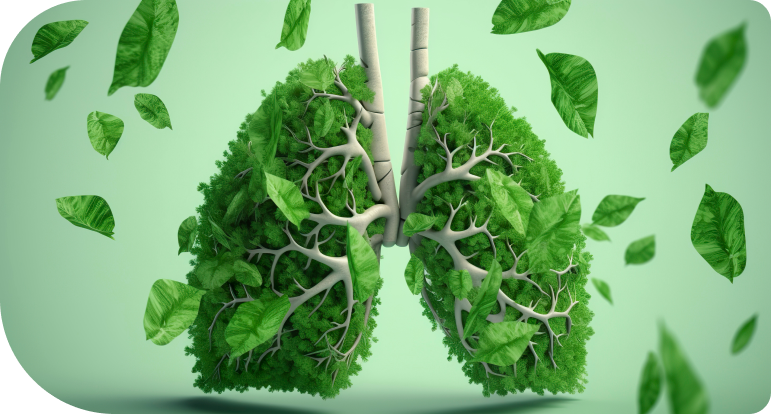 Изображение блока